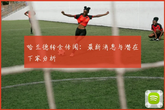 哈兰德转会传闻：最新消息与潜在下家分析